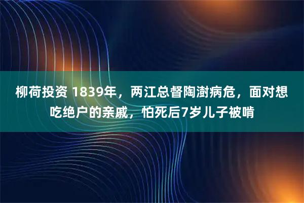 柳荷投资 1839年，两江总督陶澍病危，面对想吃绝户的亲戚，怕死后7岁儿子被啃