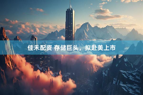 佳禾配资 存储巨头，拟赴美上市