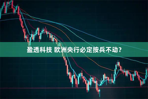 盈透科技 欧洲央行必定按兵不动？