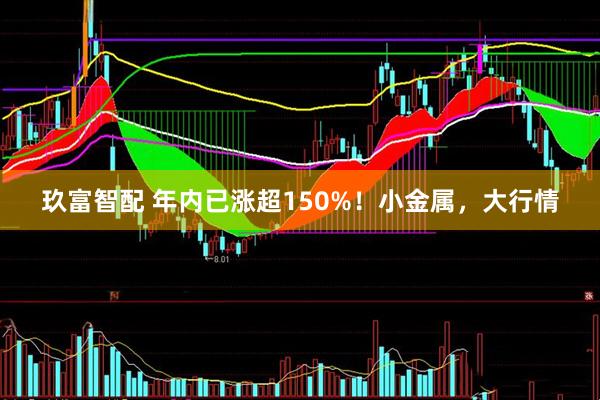 玖富智配 年内已涨超150%！小金属，大行情