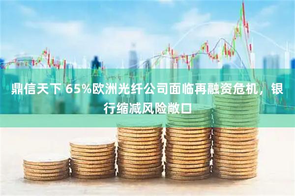 鼎信天下 65%欧洲光纤公司面临再融资危机，银行缩减风险敞口