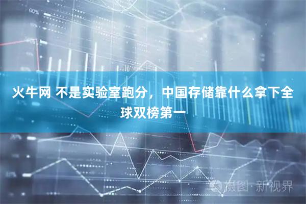 火牛网 不是实验室跑分，中国存储靠什么拿下全球双榜第一