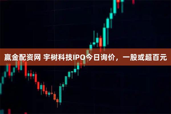 赢金配资网 宇树科技IPO今日询价，一股或超百元
