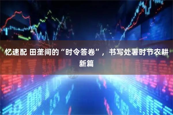忆速配 田垄间的“时令答卷”，书写处暑时节农耕新篇
